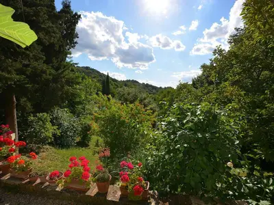 Bild 9 Bild 9