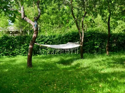 Ferienhaus für 4 Personen in Rakovica 10/10
