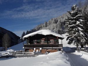 22361343-Ferienhaus-4-Ramsau am Dachstein-300x225-2