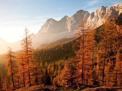 Goldener Herbst am Fuße des Dachsteins