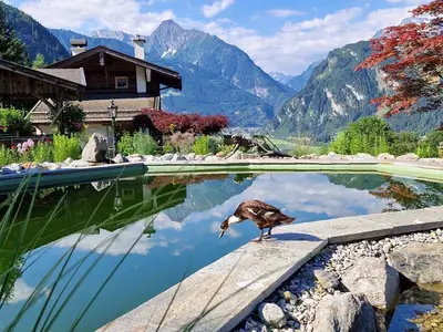 Ferienhaus für 6 Personen (100 m²) in Ramsau im Zillertal 8/10