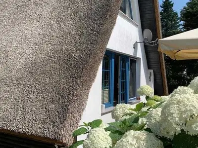 Ferienhaus für 4 Personen (40 m²) in Rankwitz 1/10