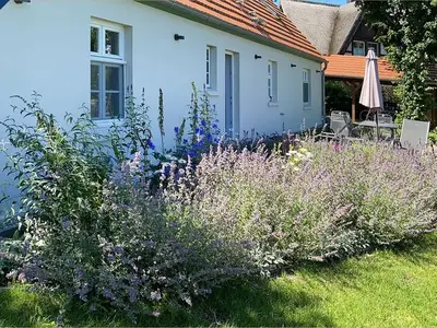 Ferienhaus für 8 Personen (160 m²) in Rankwitz 4/10