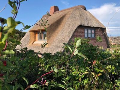 Ferienhaus für 6 Personen (90 m²) in Rantum (Sylt) 1/10