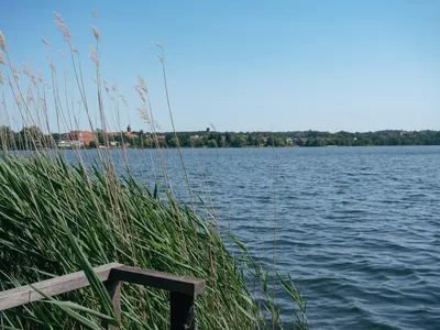 Ferienhaus für 4 Personen (35 m²) in Ratzeburg 9/10