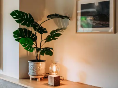 Ambiente / Nahaufnahme