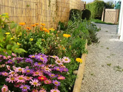 GardenSummer