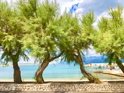 Ferienhaus für 4 Personen (68 m²) in Razanac 9/10