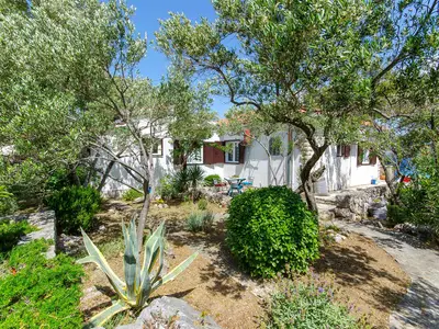 Ferienhaus für 8 Personen (100 m²) in Ražanj 9/10