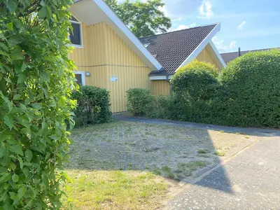 ViewSummer