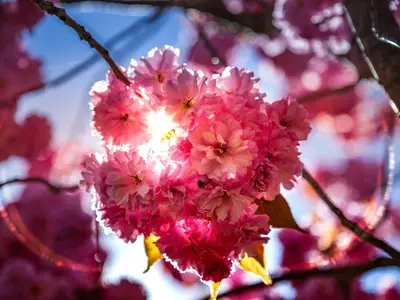 Ferienhaus für 8 Personen (160 m²) in Rechlin 2/10
