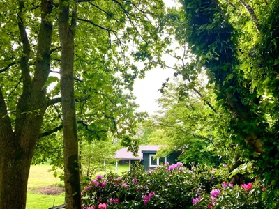 Ferienhaus für 2 Personen (25 m²) in Rechtsupweg 1/10