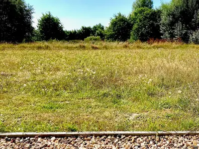 Ferienhaus für 2 Personen (25 m²) in Rechtsupweg 7/10