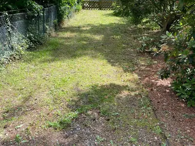 Ferienhaus für 2 Personen (75 m²) in Rehburg-Loccum 10/10