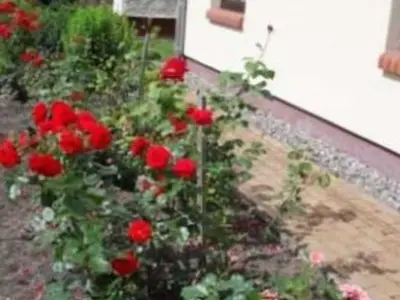 Ferienhaus für 5 Personen (70 m²) in Reimershagen 3/10