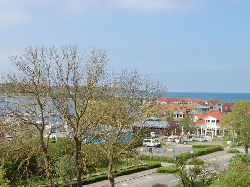 24005723-Ferienhaus-4-Rerik (Ostseebad)-800x600-0