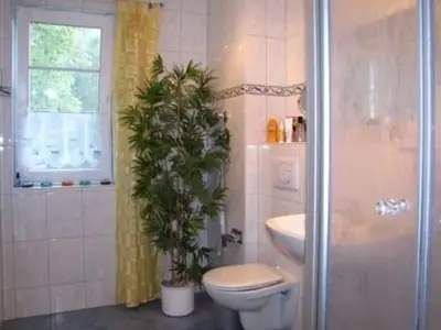 Ferienhaus für 4 Personen (56 m²) in Rerik (Ostseebad) 8/9