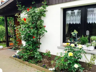 Ferienhaus für 3 Personen (55 m²) in Rerik (Ostseebad) 3/10