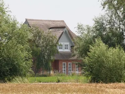 Ferienhaus für 8 Personen (120 m²) in Rerik (Ostseebad) 7/10