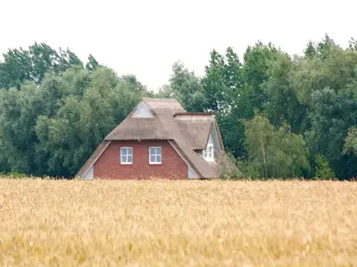 Ferienhaus für 8 Personen (120 m²) in Rerik (Ostseebad) 8/10