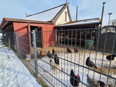 Ferienhaus für 6 Personen (80 m²) in Rerik (Ostseebad) 8/10