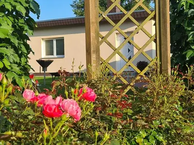 Ferienhaus für 3 Personen (48 m²) in Rerik (Ostseebad) 5/10