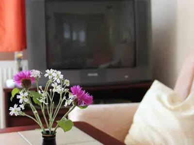 Ferienhaus für 2 Personen (45 m²) in Rerik (Ostseebad) 4/7