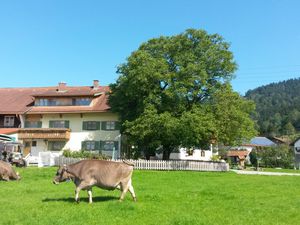 Ferienhaus für 4 Personen in Rettenberg