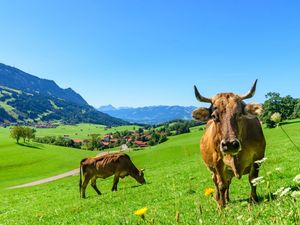 Ferienhaus für 4 Personen in Rettenberg