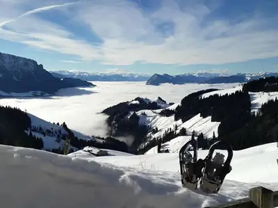 Schneeschuhwandern