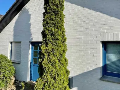 Ferienhaus für 4 Personen (87 m²) in Rettin 4/10