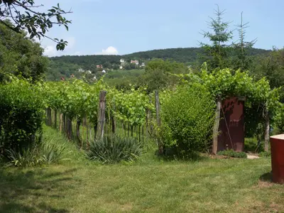 Ferienhaus für 4 Personen (40 m²) in Révfülöp 6/10