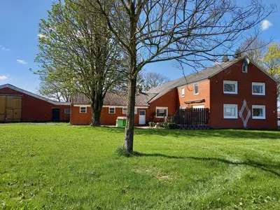Ferienhaus für 8 Personen (135 m²) in Rhauderfehn 4/10