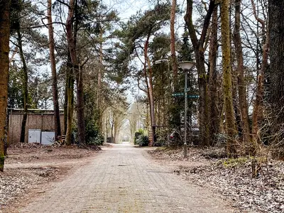outside