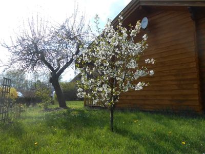 Ferienhaus für 3 Personen (36 m²) in Rheinsberg 5/9