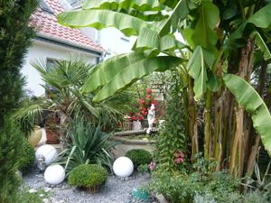 10377688-Ferienhaus-3-Ribnitz-Damgarten-300x225-2