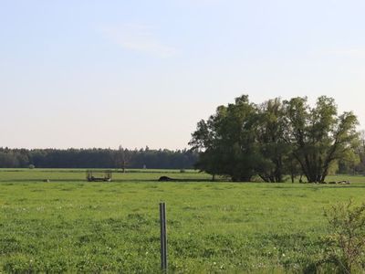 Ferienhaus für 3 Personen (42 m²) in Ribnitz-Damgarten 1/10