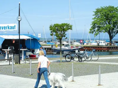AreaSummer5KM