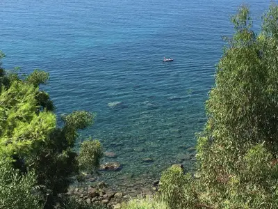ViewSummer