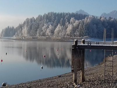 Wintertraum am Forggensee, direkt vor der Haustüre