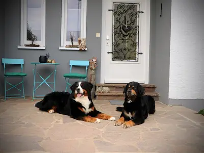 Ferienhaus für 6 Personen (80 m²) in Riedenburg 1/10