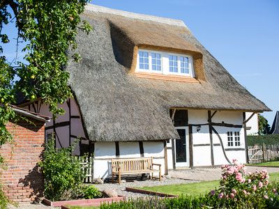 Ferienhaus für 4 Personen (85 m²) in Riepsdorf 1/10