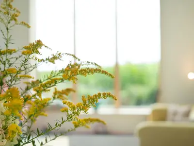 Ferienhaus für 6 Personen (160 m²) in Riepsdorf 7/10