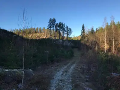 Activity