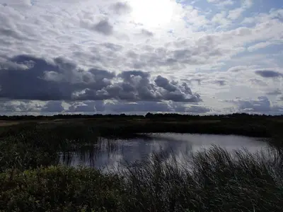 WaterView