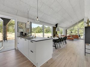 23584659-Ferienhaus-8-Ringkøbing-300x225-3