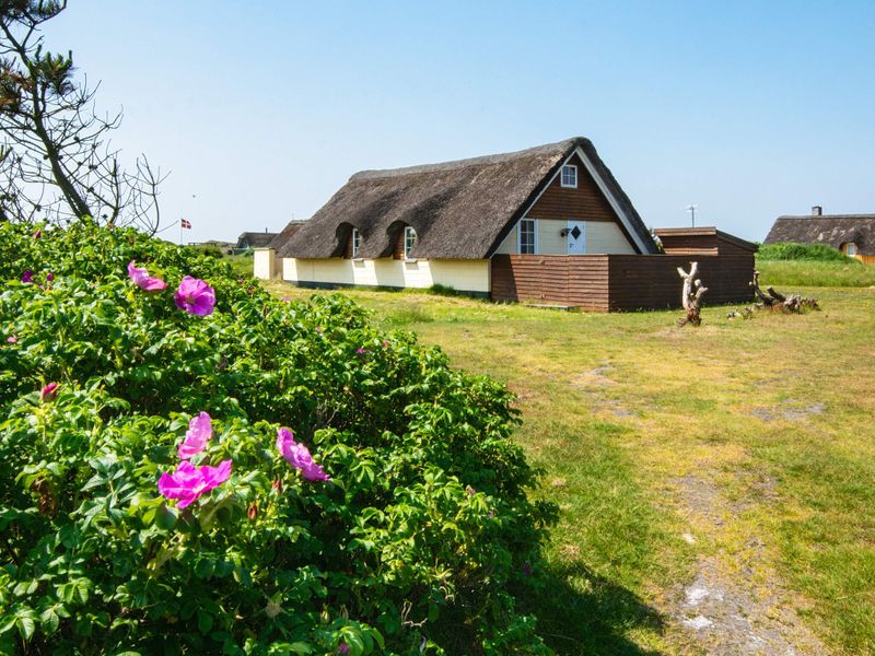 19012307-Ferienhaus-6-Ringkøbing-800x600-0