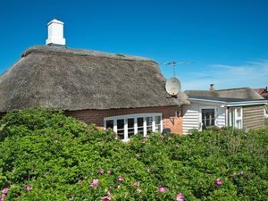 Ferienhaus für 6 Personen (100 m²) in Ringkøbing