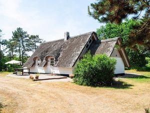 19318884-Ferienhaus-5-Ringkøbing-300x225-3