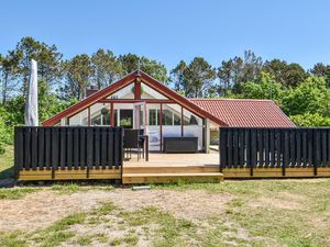 Ferienhaus für 6 Personen (100 m²) in Ringkøbing